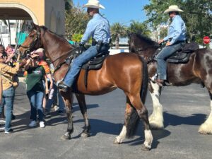 Horses Pride Parade 2024